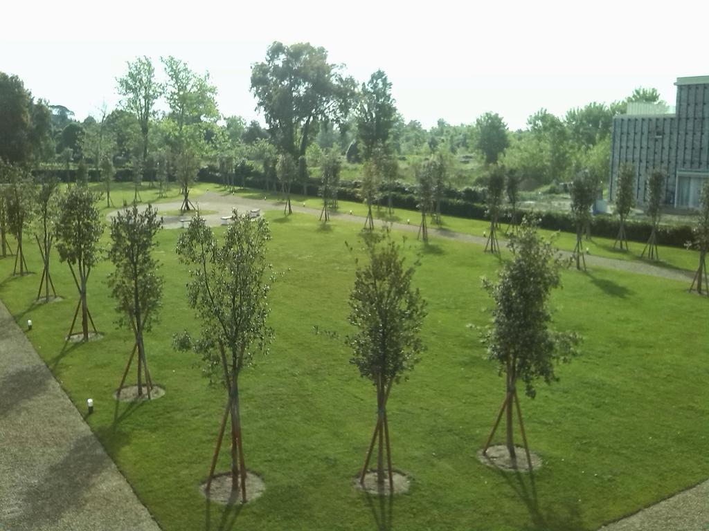 Eliopoli Beach Hostel & Restaurant ตีร์เรเนีย ภายนอก รูปภาพ